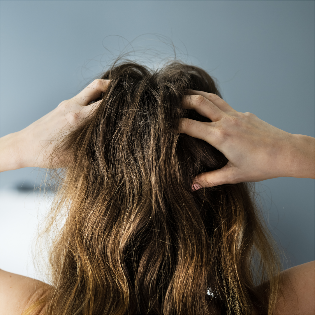 Rimedi per i capelli crespi: la soluzione definitiva | Königliche Schönheit