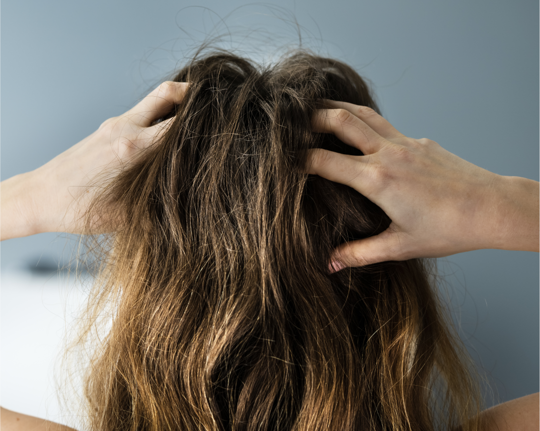 Rimedi per i capelli crespi: la soluzione definitiva | Königliche Schönheit