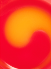 Balsamo Labbra Ciliegia Swirl | Lip Balm -  | Royal Beauty